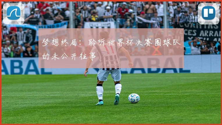 梦想终局：聆听世界杯决赛圈球队的未公开往事