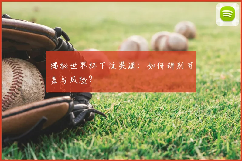 揭秘世界杯下注渠道:如何辨别可靠与风险?
