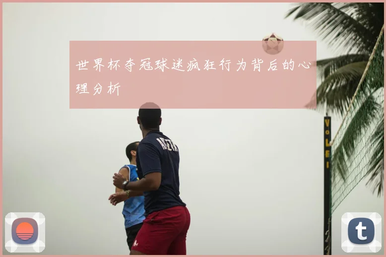 世界杯夺冠球迷疯狂行为背后的心理分析