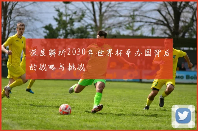 深度解析2030年世界杯举办国背后的战略与挑战